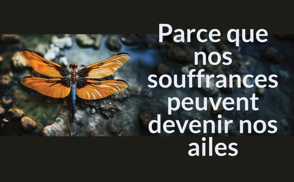 Parce que nos souffrances peuvent devenir nos ailes.